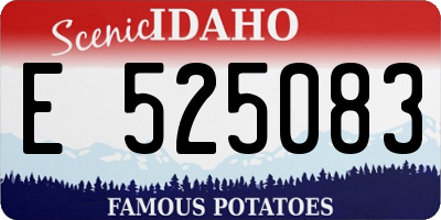 ID license plate E525083