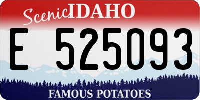 ID license plate E525093