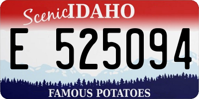 ID license plate E525094