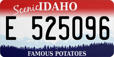 ID license plate E525096