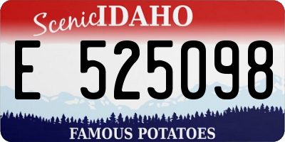 ID license plate E525098