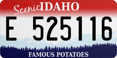 ID license plate E525116