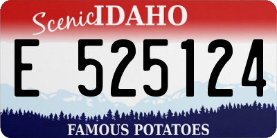 ID license plate E525124