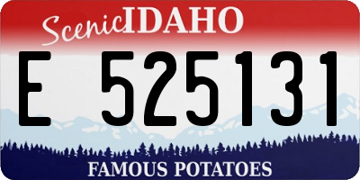 ID license plate E525131