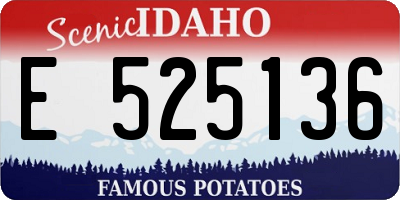 ID license plate E525136