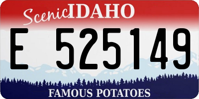 ID license plate E525149