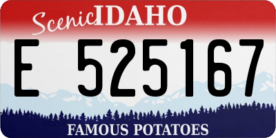 ID license plate E525167