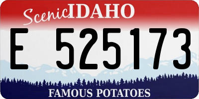 ID license plate E525173
