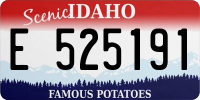 ID license plate E525191