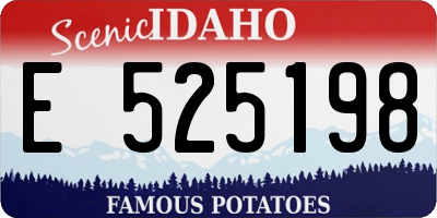 ID license plate E525198