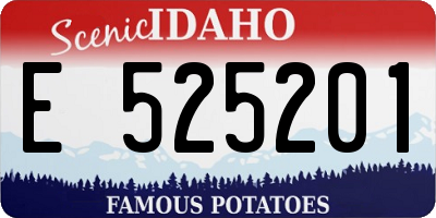 ID license plate E525201