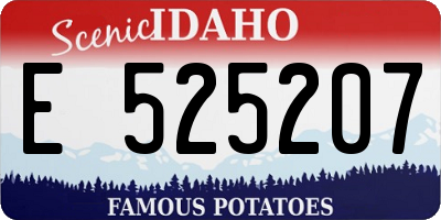 ID license plate E525207