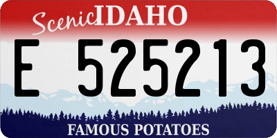 ID license plate E525213