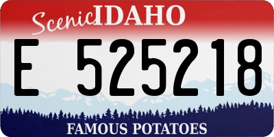ID license plate E525218