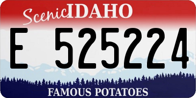 ID license plate E525224