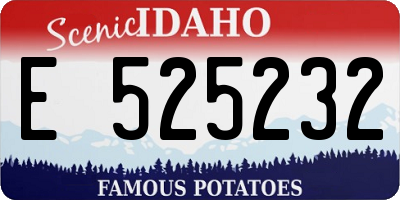 ID license plate E525232