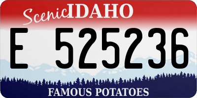 ID license plate E525236