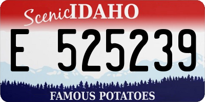 ID license plate E525239
