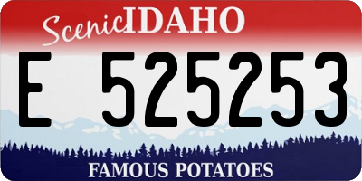 ID license plate E525253