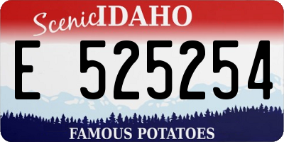 ID license plate E525254