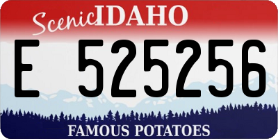 ID license plate E525256