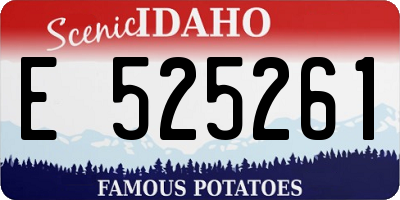 ID license plate E525261