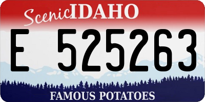 ID license plate E525263