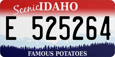 ID license plate E525264