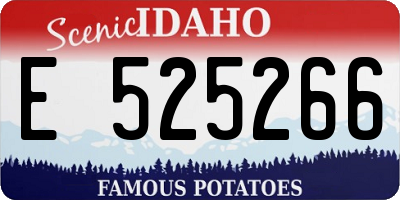 ID license plate E525266