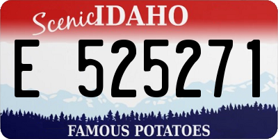 ID license plate E525271