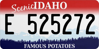 ID license plate E525272