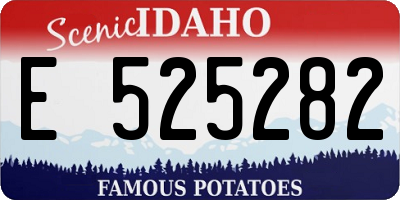 ID license plate E525282