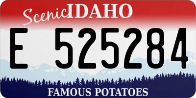 ID license plate E525284