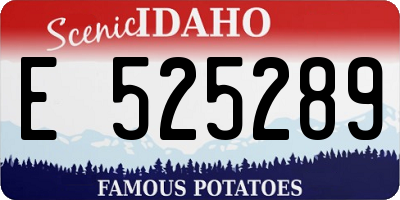 ID license plate E525289