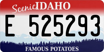 ID license plate E525293