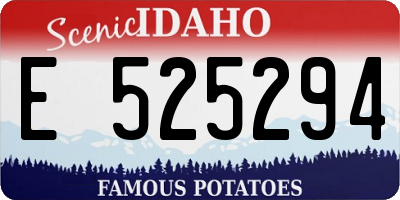ID license plate E525294