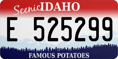 ID license plate E525299