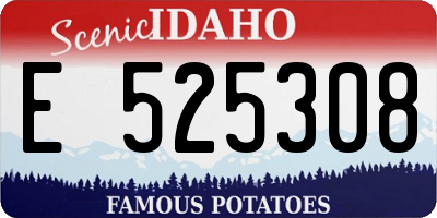 ID license plate E525308