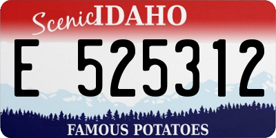 ID license plate E525312