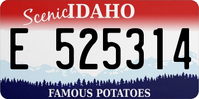 ID license plate E525314