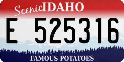 ID license plate E525316