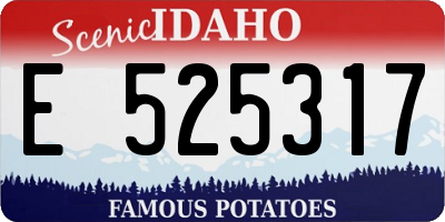 ID license plate E525317