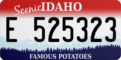 ID license plate E525323