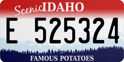 ID license plate E525324