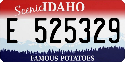 ID license plate E525329