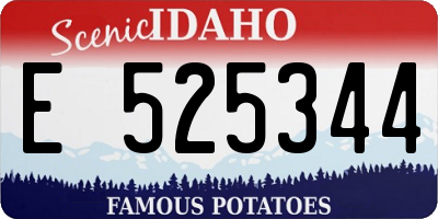 ID license plate E525344