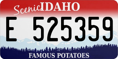 ID license plate E525359