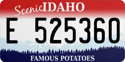 ID license plate E525360