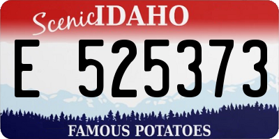 ID license plate E525373