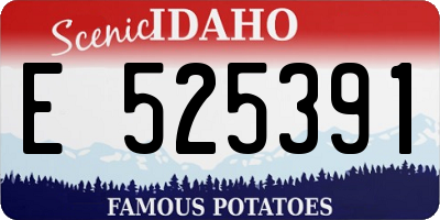 ID license plate E525391